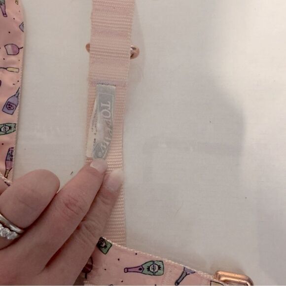 Top Paw Champagne Dog collar XS and Leash set 4 Ft - Picture 5 of 5